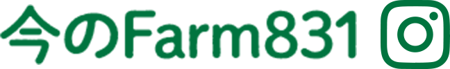 今のFarm831
